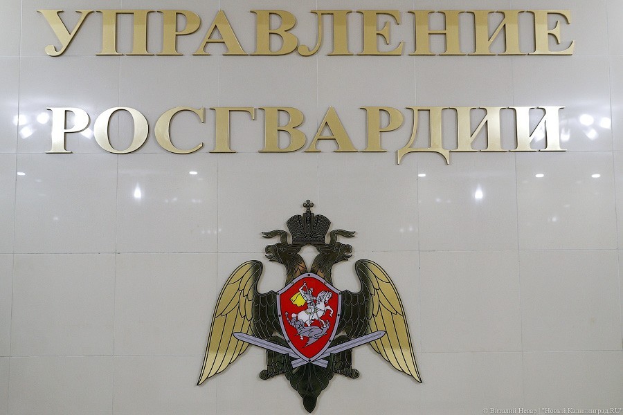 Калининградец расстрелял оппонента из травматического пистолета