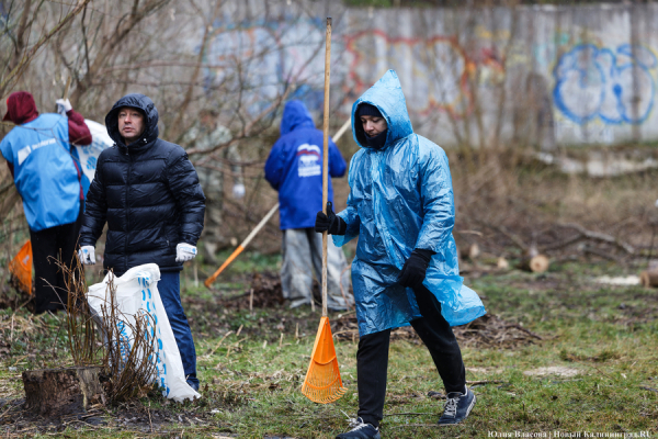 «Коммунальный Новый год»: как в Калининграде прошёл общегородской субботник
