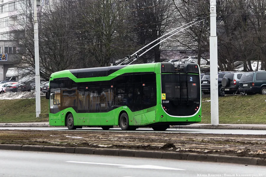 Администрация Калининграда запускает «подмогу» троллейбусу № 2