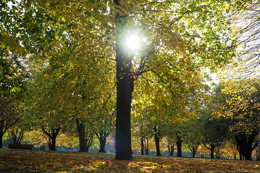 Облдума поддержала изменение границ особо охраняемых территорий регионального значения