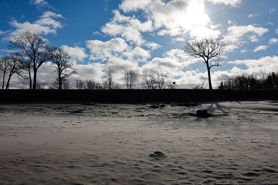 Калининградской области обещают «островок» потепления