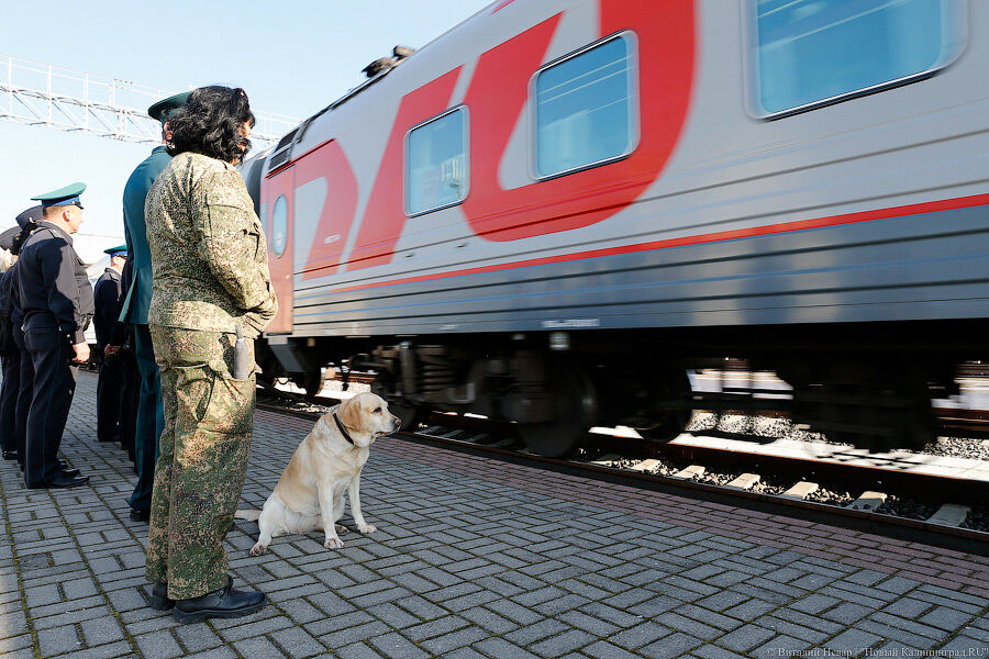В РЖД сообщили о возобновлении пассажирского сообщения с Казахстаном