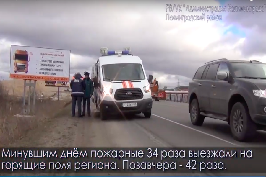Власти Калининграда рассказали, как работает новая «машина пропаганды» (видео)