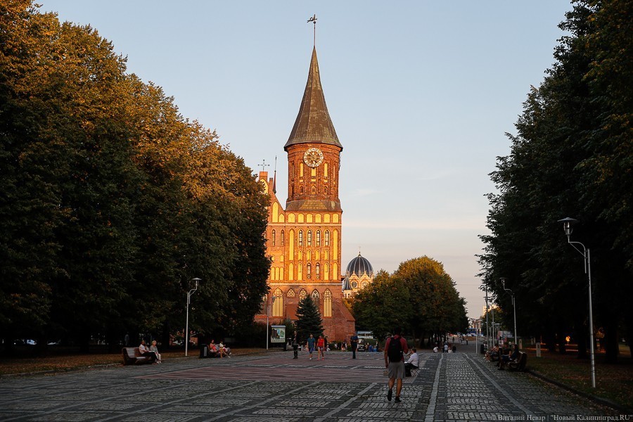 Новые мосты и яхты на Преголе: Алиханов опубликовал план благоустройства острова Канта (видео)