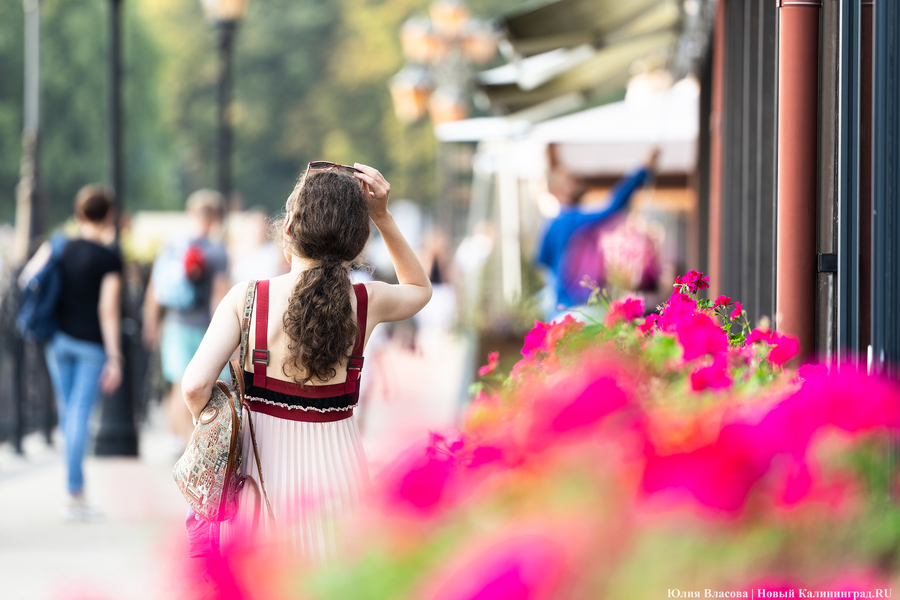 Погода в Калининграде 25 сентября