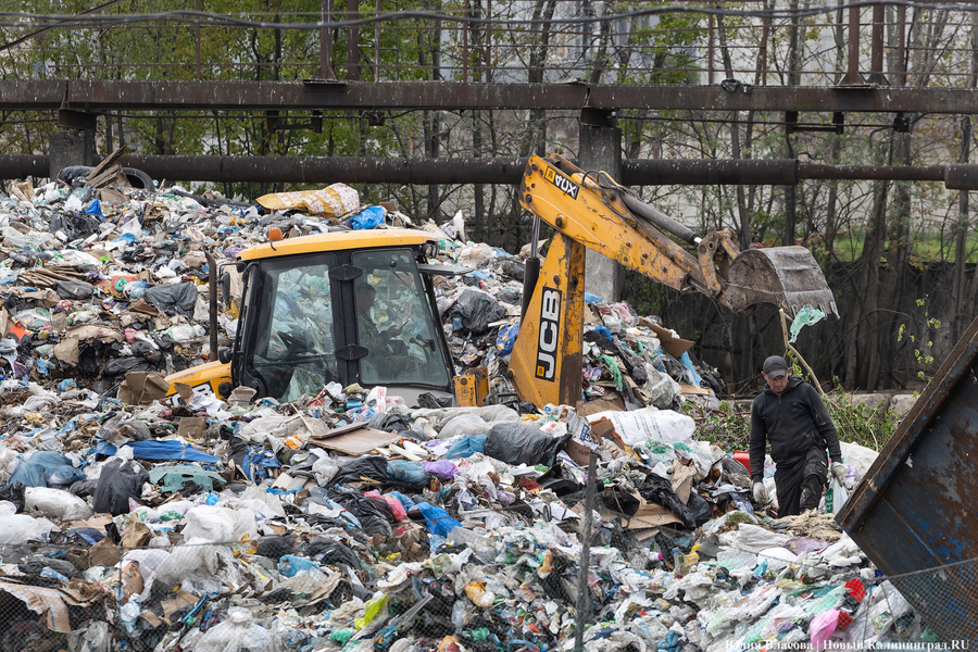 Крысы, чайки и смрад: как живется людям в новостройках в районе Туруханской