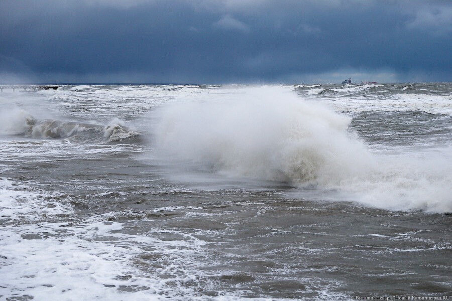 В МЧС предупредили об усилении ветра на побережье