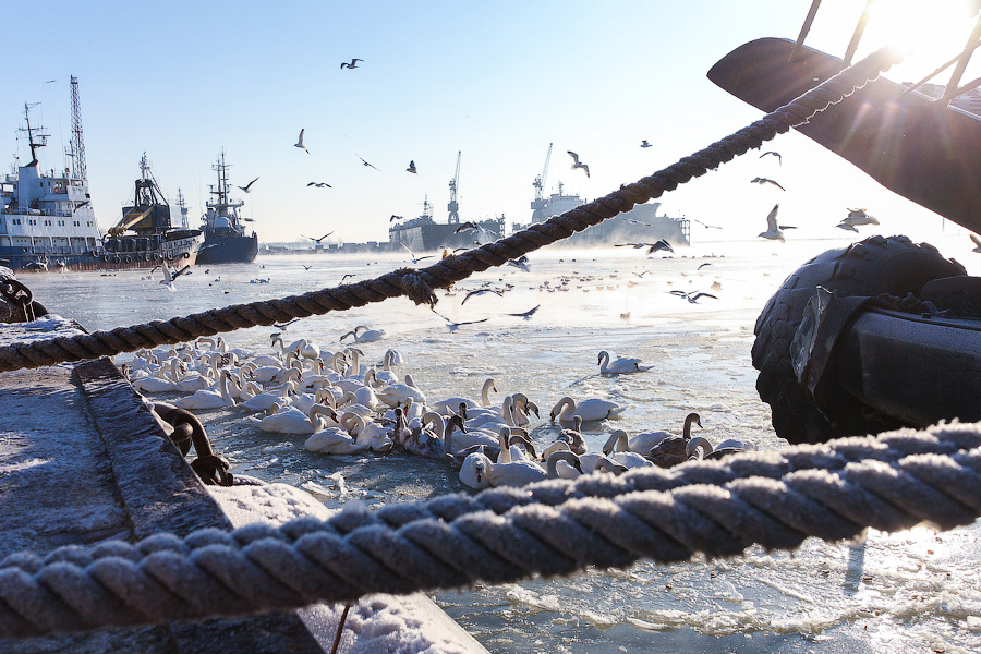 МЧС объявило об отмене штормового предупреждения в Калининградской области