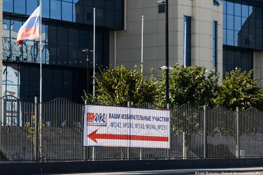 Почти 76% за врио: как проголосовали калининградцы на губернаторских выборах-2024