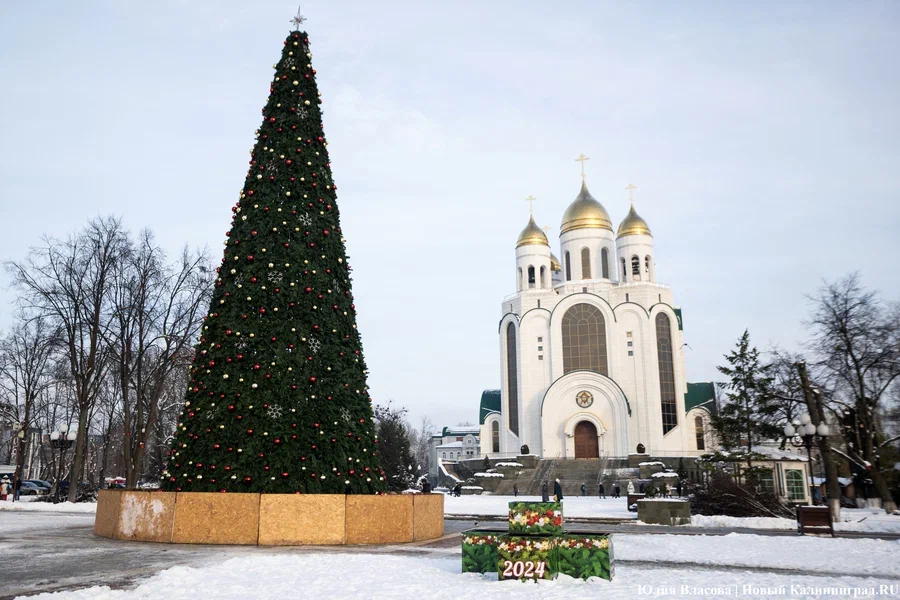 Власти рассказали, планируется ли в Калининграде праздник в новогоднюю ночь