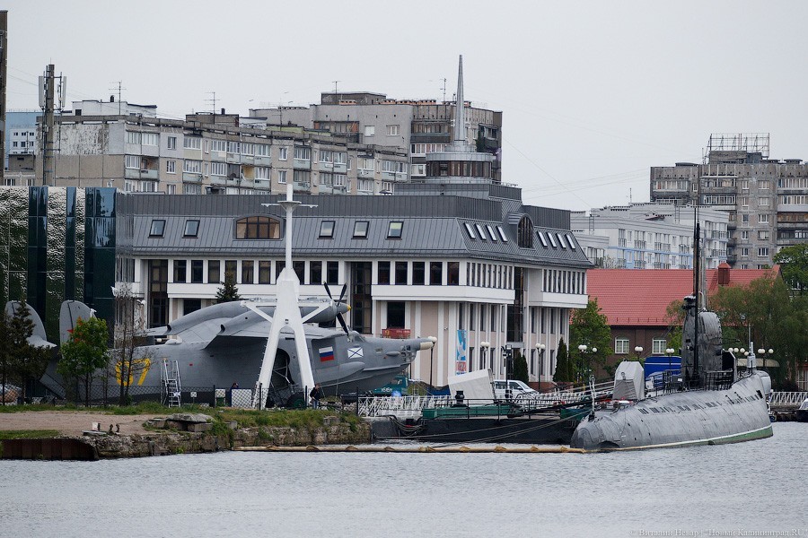 В Музее Мирового океана покажут документальные фильмы о морских исследованиях