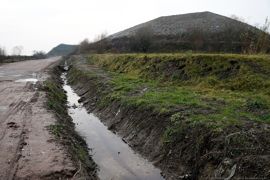 Прокуратура потребовала перестать сбрасывать фильтрат со свалки в городскую канализацию