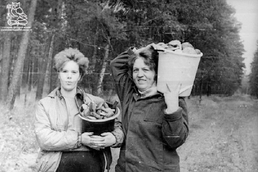 Камень Гофмана, «мир капитализма» и чудо-гриб: о чём писали газеты в 1990 году