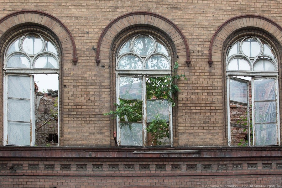 Маслов: восстановление горевшего здания УВД на Клинической уже началось