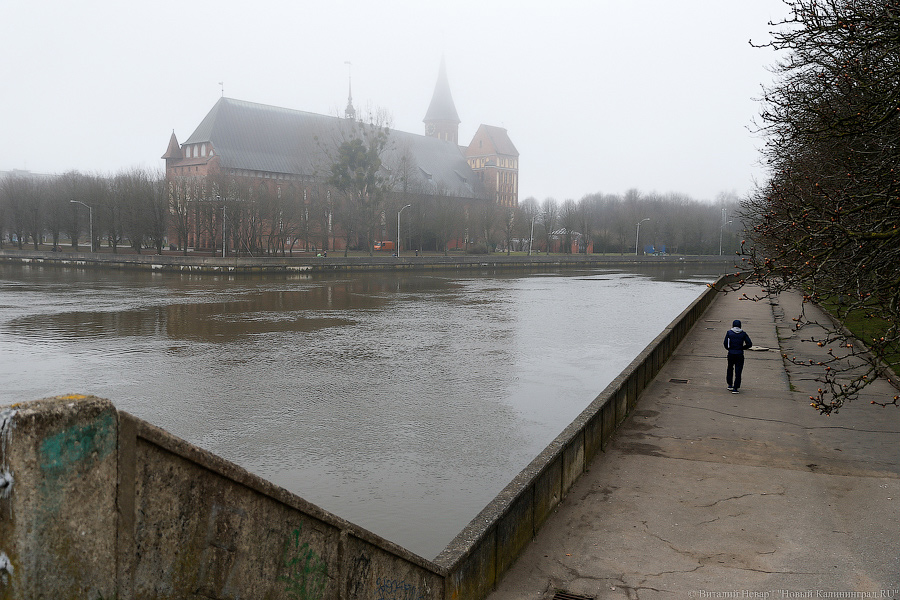 В Преголе уровень воды поднялся на 95 см