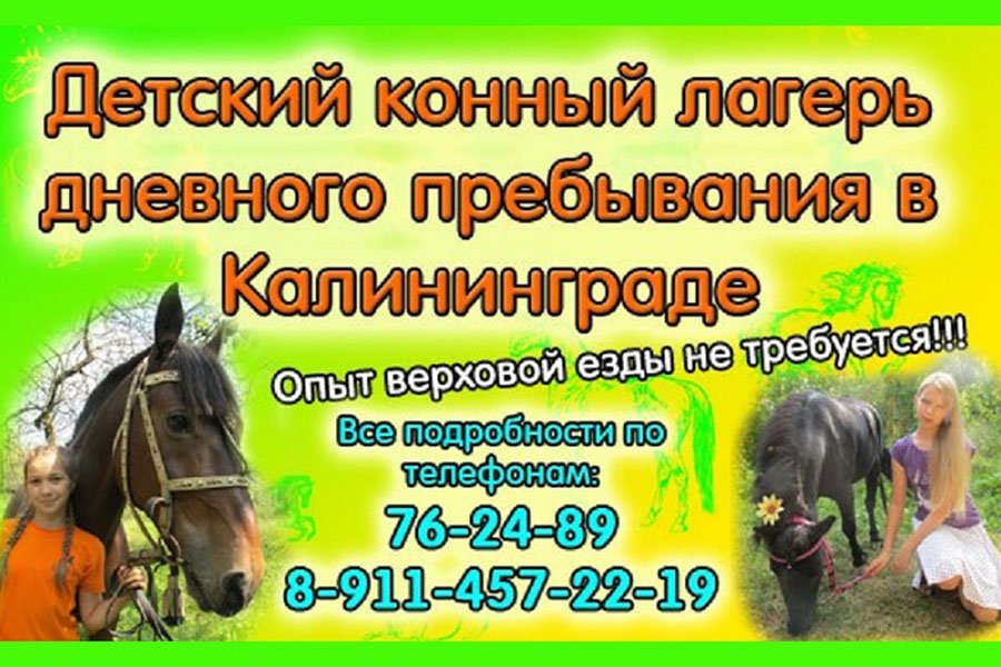 Детский конный лагерь приглашает: проведите лето ярко!