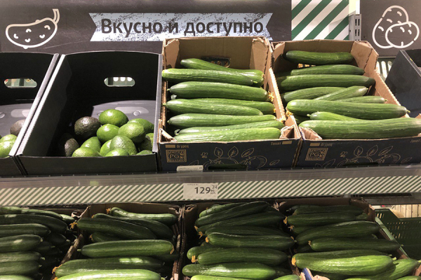 Огуречная амнистия: как изменились цены на продукты за месяц в Калининграде