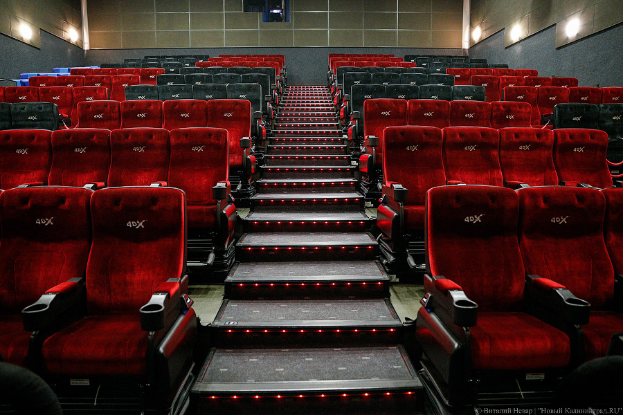 Снимавшийся в Калининграде фильм «Цой» выйдет в прокат 12 ноября