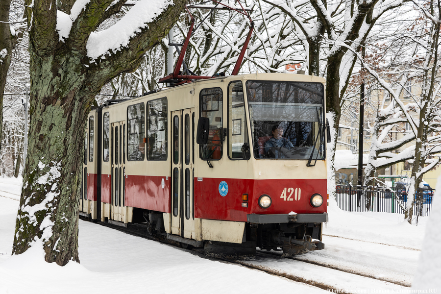В Калининграде анонсировали лекцию урбаниста Аркадия Гершмана о трамвае и не только