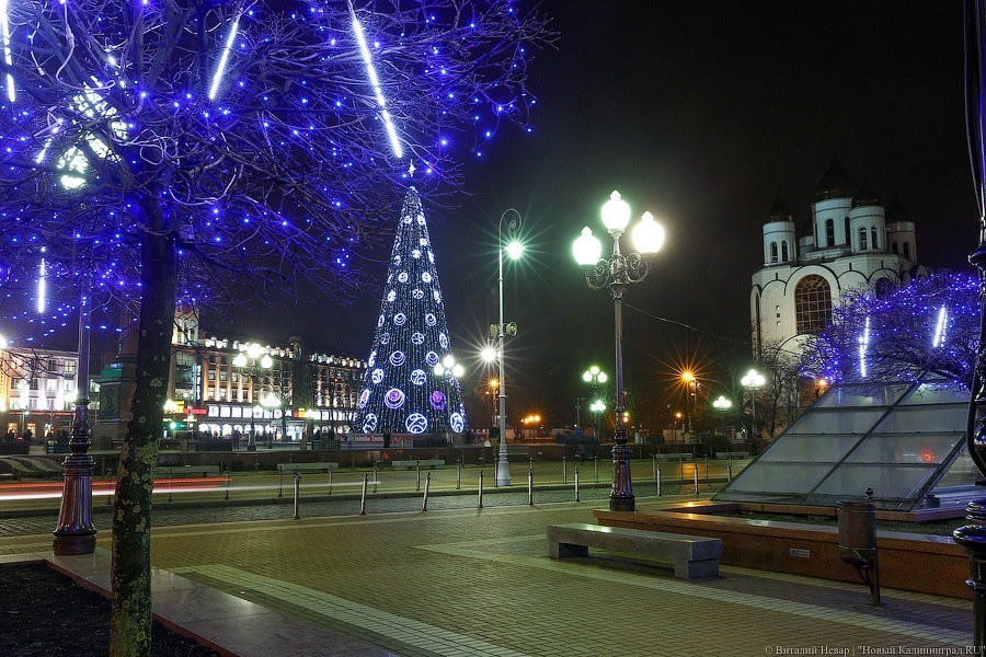 В мэрии рассказали, какие территории в Калининграде дополнительно украсят к Новому году