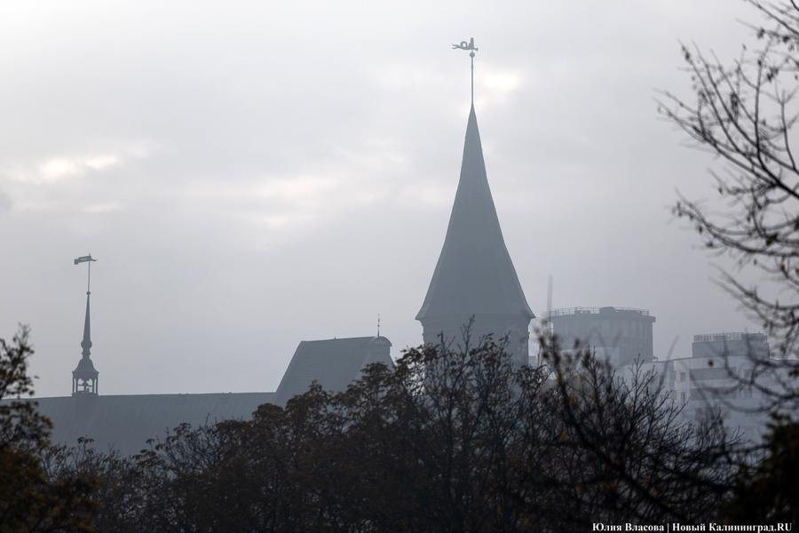 Эксперты: спрос на франшизы в Калининграде вырос в полтора раза