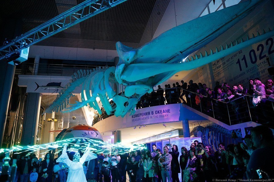 Музейную ночь в Калининграде задумали перенести на осень