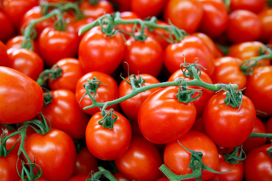 Рост яиц и помидоров: как изменились цены на продукты в Калининграде за месяц