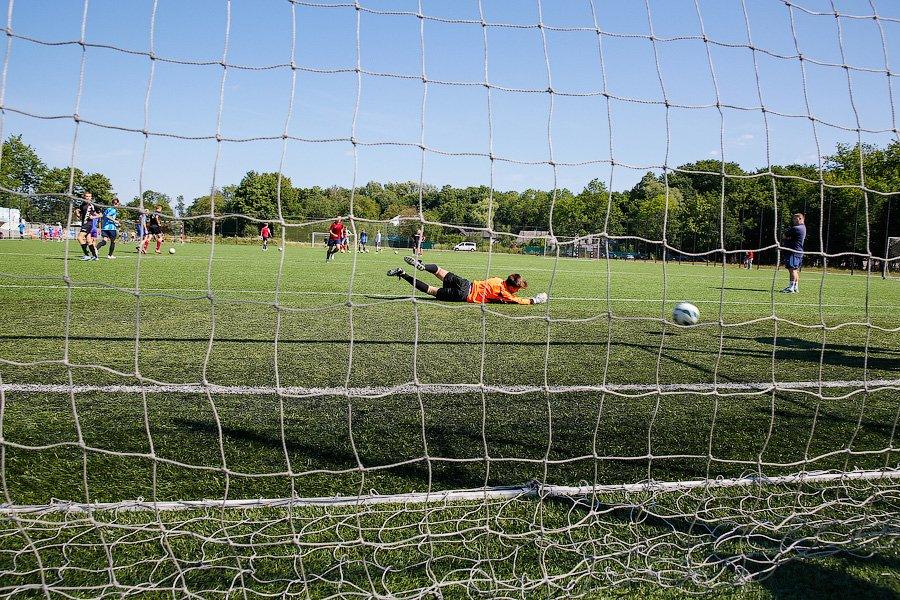 Никто не захотел строить тренировочную площадку к ЧМ-2018 в Светлогорске