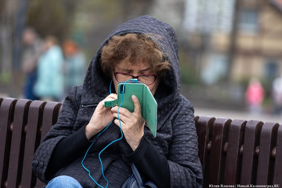 Минпросвещения готово допустить бабушек и дедушек к электронному дневнику школьника