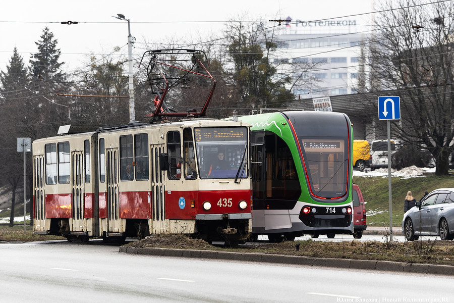 Урбанист Гершман о трамваях в Калининграде: всё реально, было бы желание