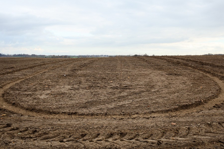 Власти Калининграда: не секрет, что многодетные семьи чаще полученную землю продают