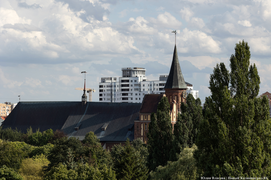 Органистка из Нигерии и десант из Кореи: чем удивил конкурс им. М. Таривердиева