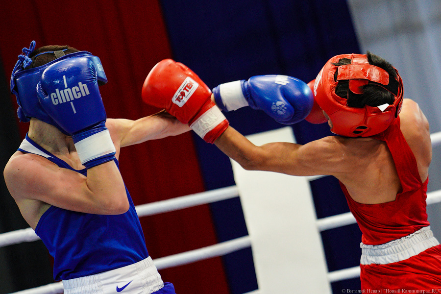 Боксерский центр в Южном парке до начала строительства подорожал на 150 млн рублей