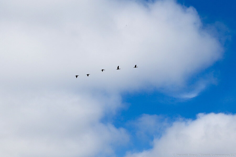 Калининградцев ожидают похолодание и дожди на первомайские праздники
