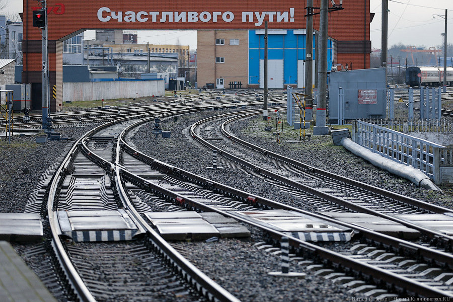 До «Русской Балтики»: власти хотят пустить к Янтарному электрички с автономным ходом