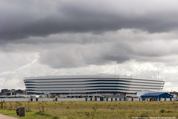 Погода в Калининграде 26 августа