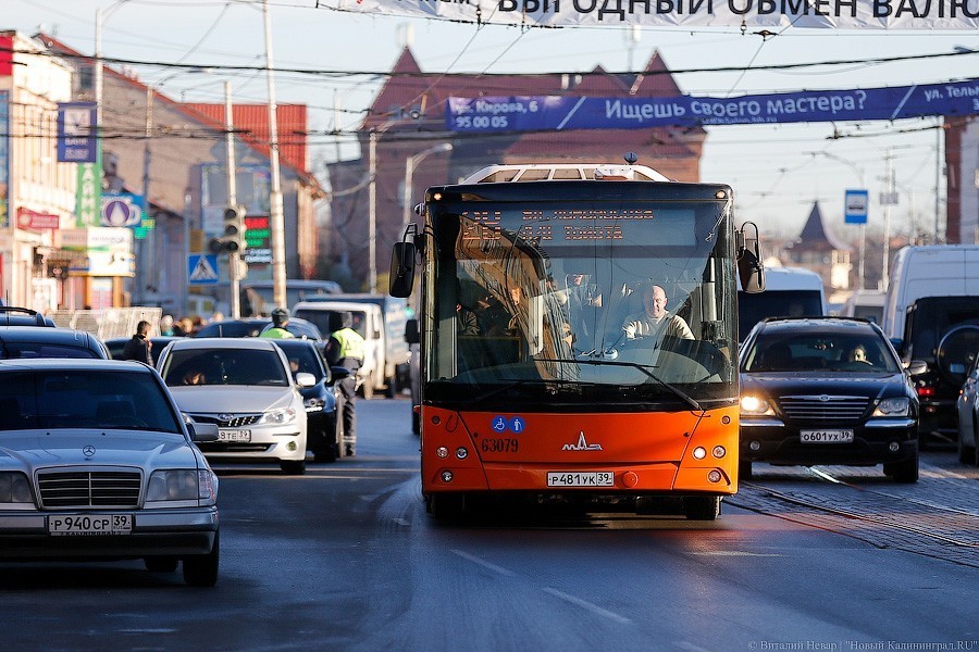 Из-за велопробега в воскресенье перекрываются дороги в направлении Зеленоградска