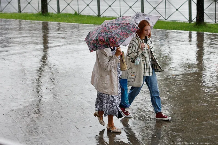 Погода в Калининградской области 14 сентября