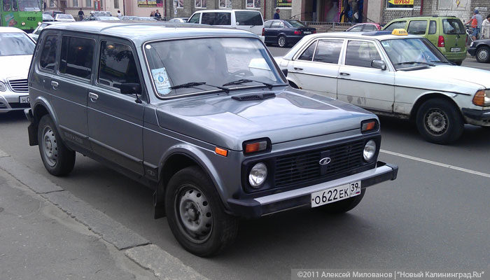 IMAG0313.jpg