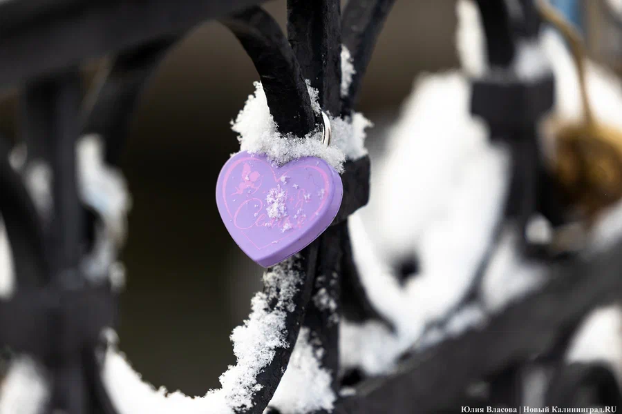 2023.11 медовый мост, замки, замок, брак, семья, любовь, свадьба 6.JPG