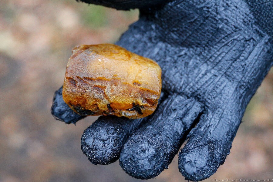 янтарь.jpg янтарь.jpg