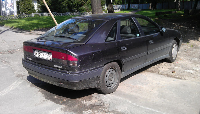 IMAG0595.jpg