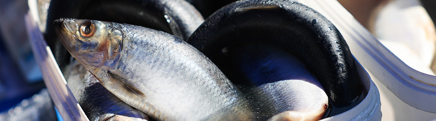 ddwuzwl1lr00pvsnp1qk3top4k3abg92 (1).jpg