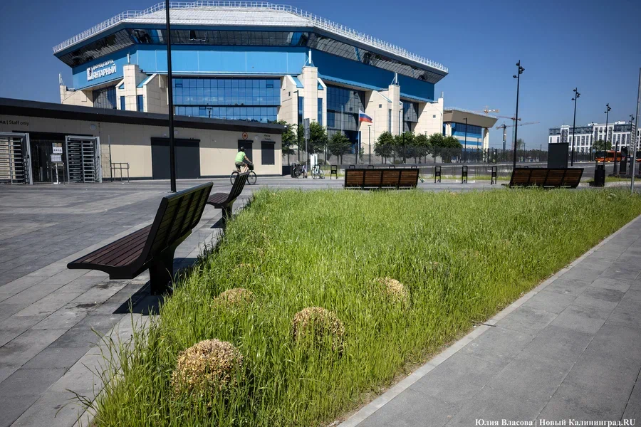 2024.05 дворец спорта янтарный, благоустройство 1.JPG