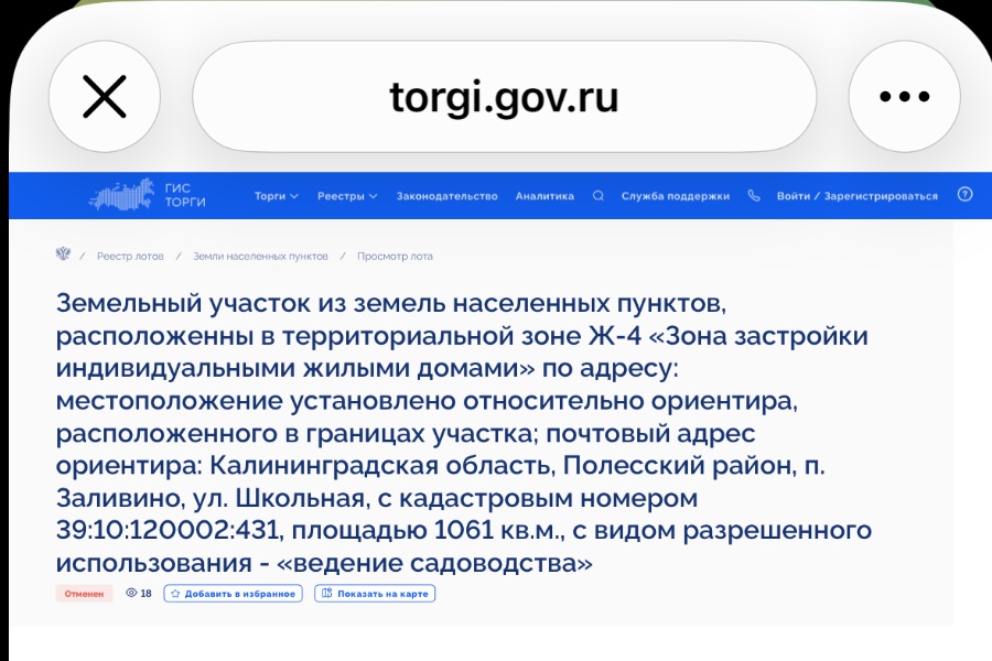 торги ру.jpg
