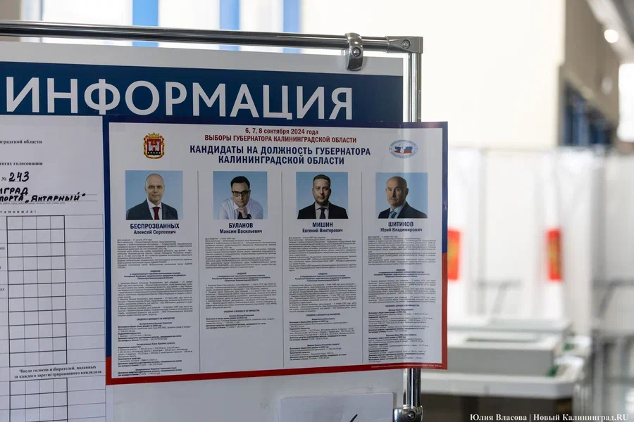 выборы2.JPG