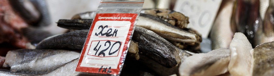 cropped-image (14).jpg cropped-image (14).jpg