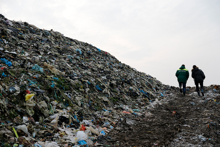 _NEV2327.jpg _NEV2327.jpg