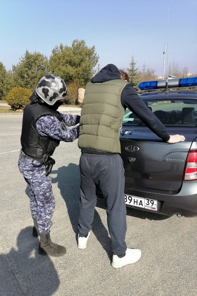 росгв.jpg росгв.jpg