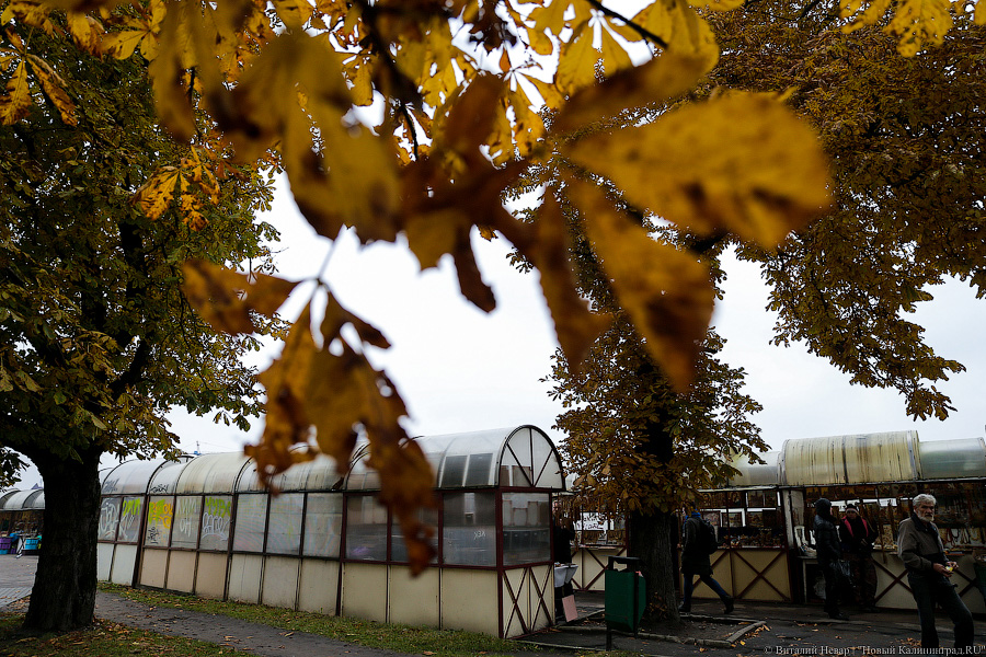 0NEV7160.jpg 0NEV7160.jpg